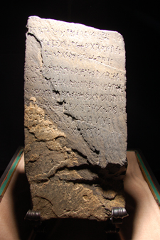 Photos courtesy of Committee Films